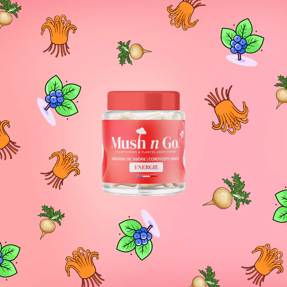 Mush_Go_energie-complement-alimentaire-alovie4.webp