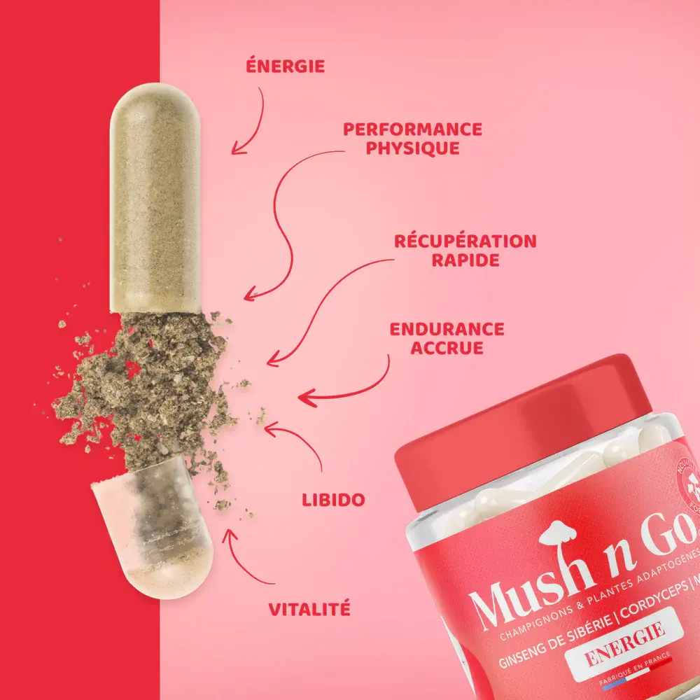 Mush_Go_energie-complement-alimentaire-alovie1.webp