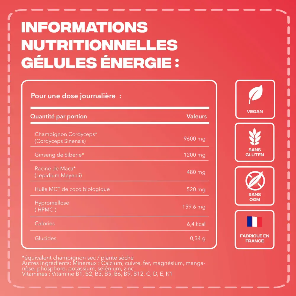 Mush_Go_energie-complement-alimentaire-alovie5.webp