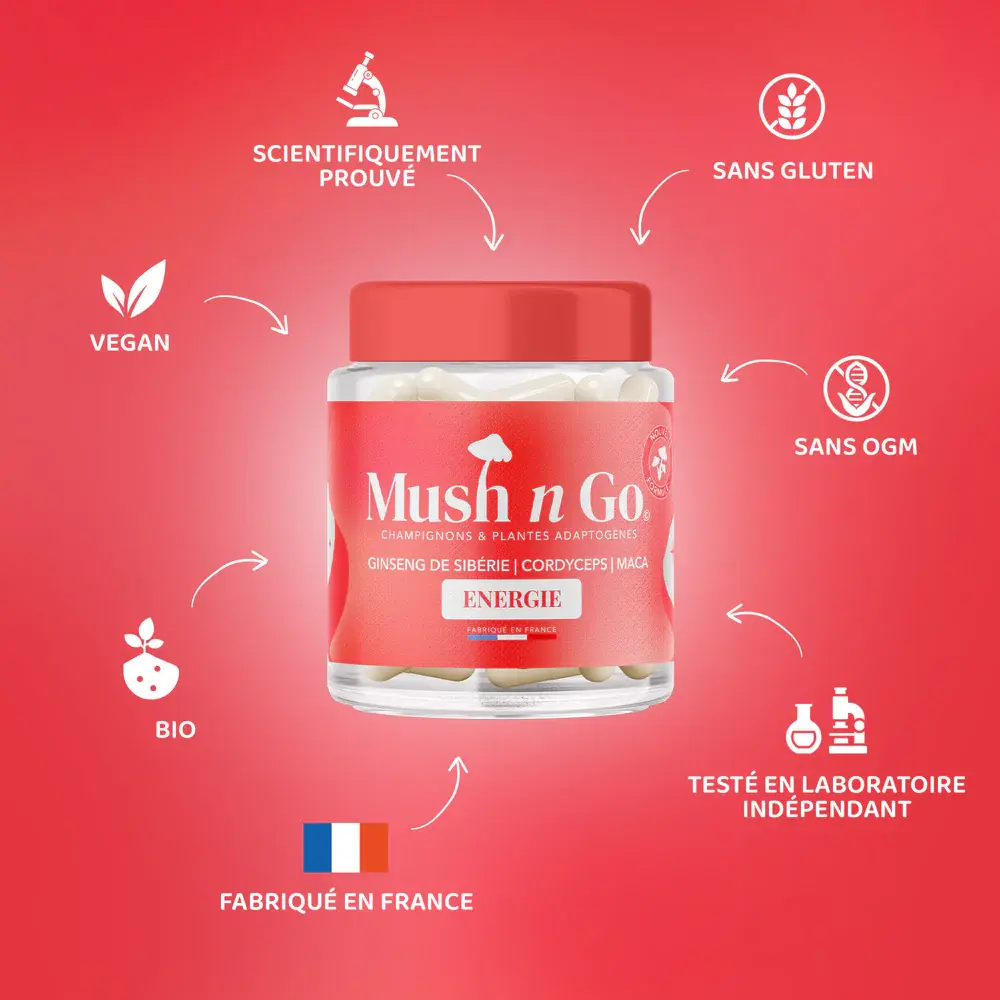 Mush_Go_energie-complement-alimentaire-alovie3.webp