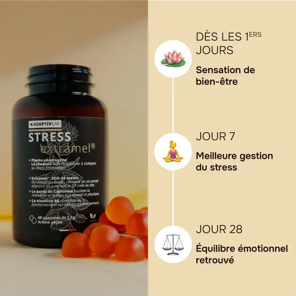 Evolution_STRESS_-_Grande_69e546e4-6735-4d5c-9cde-ba7b982e1cc1_600x.webp