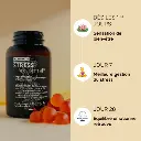 Evolution_STRESS_-_Grande_69e546e4-6735-4d5c-9cde-ba7b982e1cc1_600x.webp