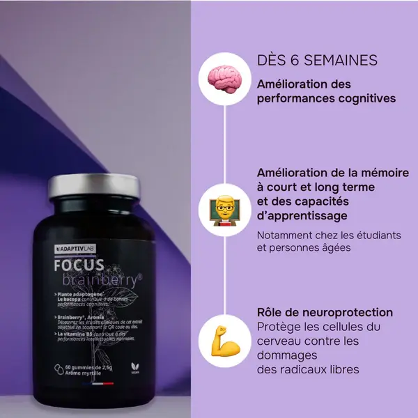 Evolution_FOCUS_-_Grande_6208dd8a-240a-4493-9d28-ef89aa221e8d_600x.webp