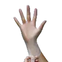 10711xpm-01.webp