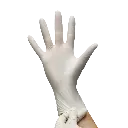 12751x-01.webp