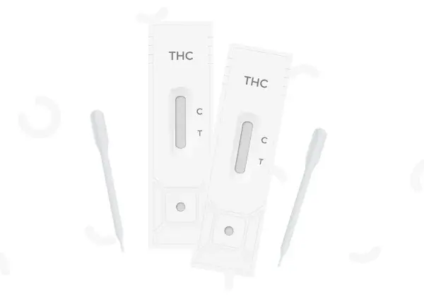 test-cannabis-urinaire-2.webp