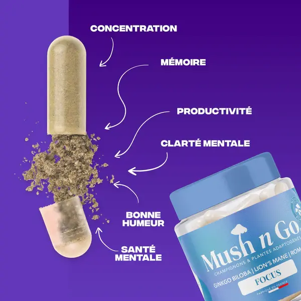 Mush_Go_-_Focus_V2_-_2_600x600.webp