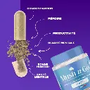 Mush_Go_-_Focus_V2_-_2_600x600.webp