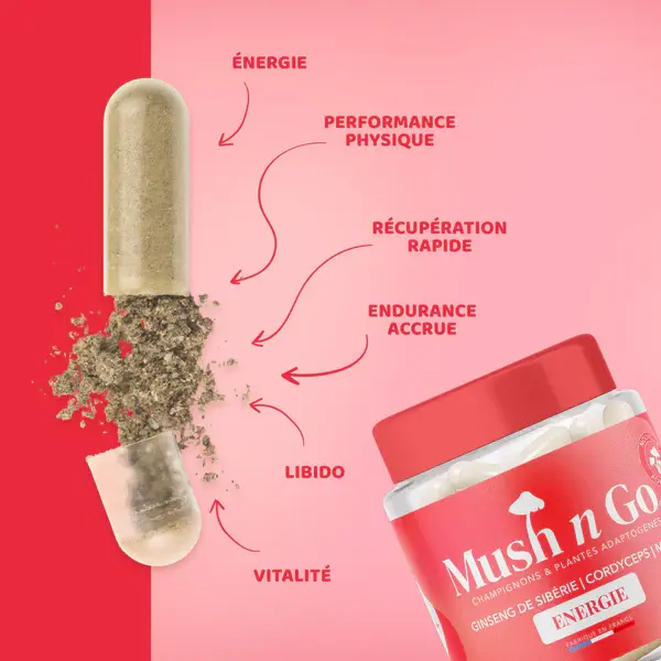 Mush_Go_-_Energie_-_2_600x600.webp