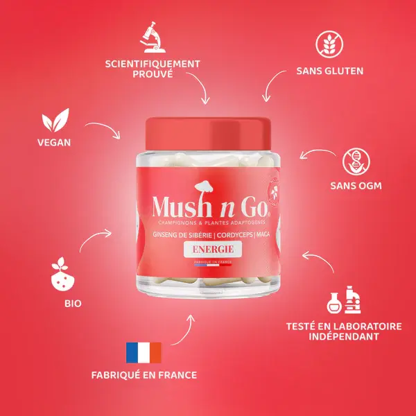 Mush_Go_-_Energie_-_4_copie_600x600.webp