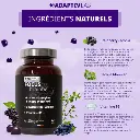 FOCUS-Brainberry-60-Gummies-AdaptivLab-Alovie3.webp