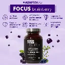 FOCUS-Brainberry-60-Gummies-AdaptivLab-Alovie1.webp