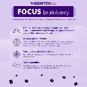 FOCUS-Brainberry-60-Gummies-AdaptivLab-Alovie2.webp