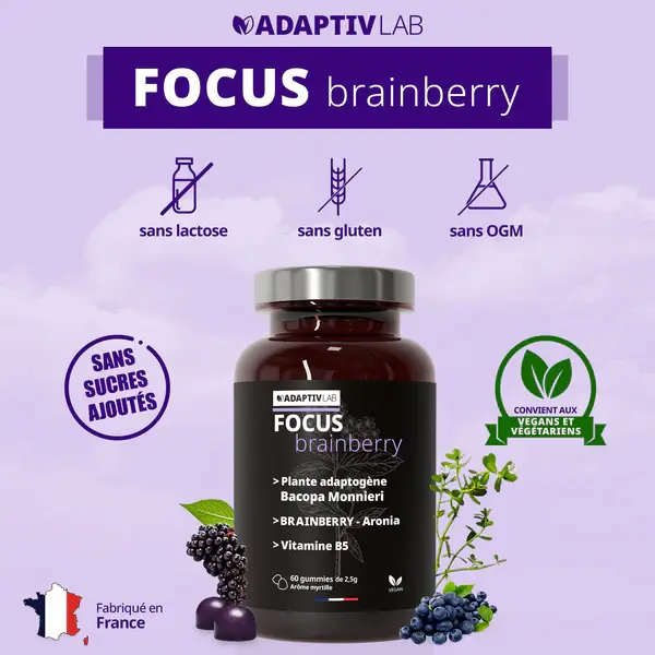 FOCUS-Brainberry-60-Gummies-AdaptivLab-Alovie6.webp