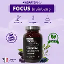 FOCUS-Brainberry-60-Gummies-AdaptivLab-Alovie6.webp