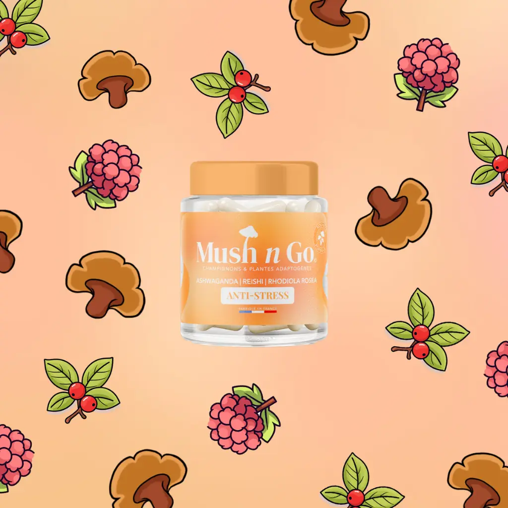 Mush_Go_Anti_Stress-complement-alimentaire-alovie2.webp