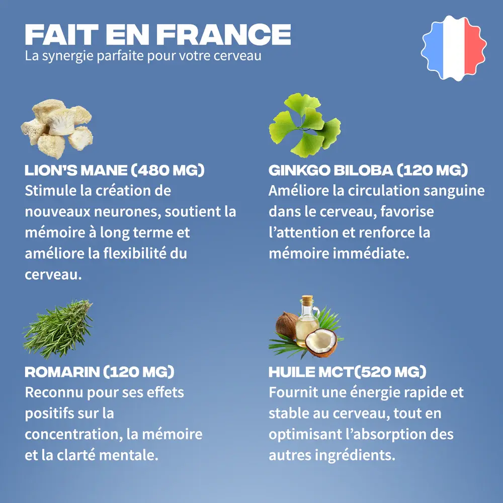 Mush_Go_Focus-complement-alimentaire-alovie3.webp