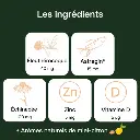 Ingredients_immunite_-_Grande_c507247b-b03f-4e30-bbea-23c183a86e88_600x.webp
