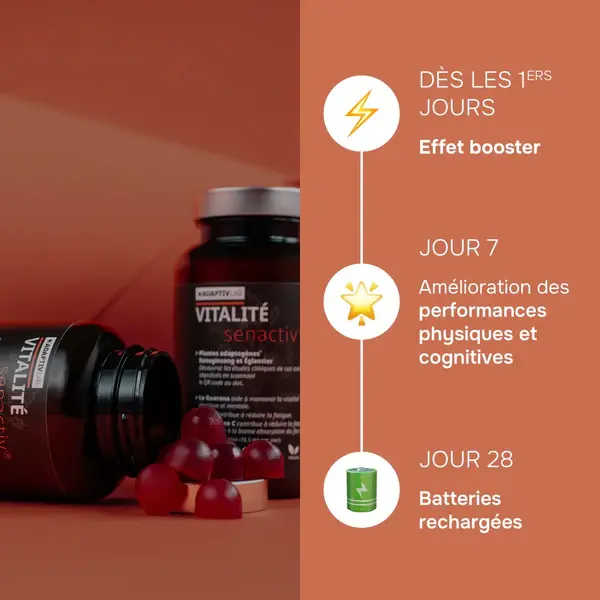 Evolution_VITALITE_-_Grande_79ac07e8-f857-4cbb-8844-2fd7a89b45af_600x.webp