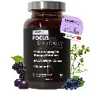 FOCUS Brainberry - 60 Gummies - AdaptivLab 