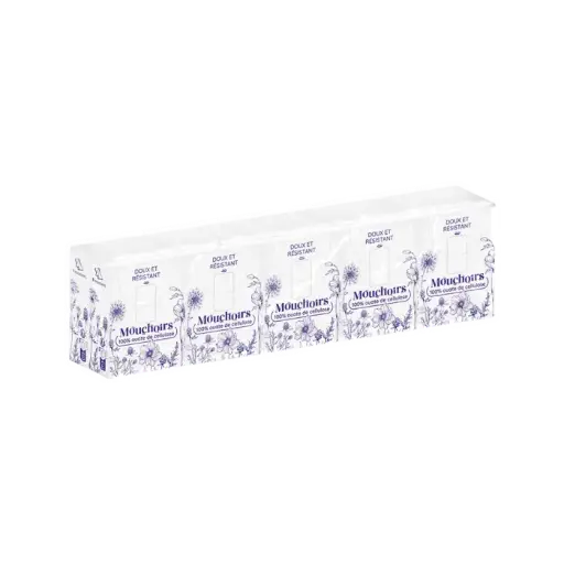 Mouchoirs en étui compact de 10 paquets 